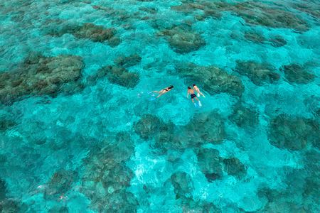 Three guests snorkling in crystal-clear waters at Kokomo Island Fiji. Seen from above, several large reefs can be seen all around the waters the guests are snorkling through.