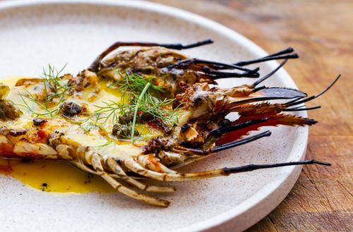 A cooked crustacean served on a large ceramic plate.