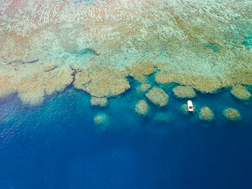 No-Take Fishing Zone at Kokomo Private Island Fiji